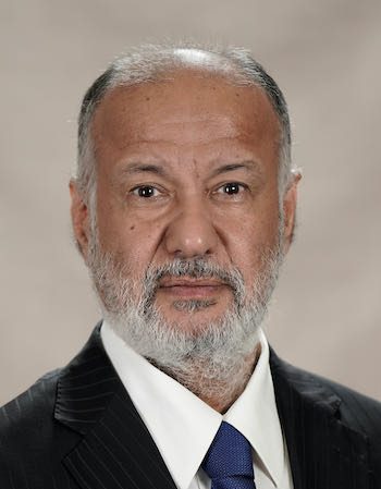 Mohamed Yousef Al Mana